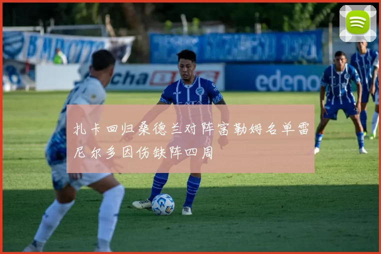 扎卡回归桑德兰对阵富勒姆名单雷尼尔多因伤缺阵四周